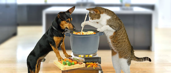 Chicken soup for dogs, cats and owners
