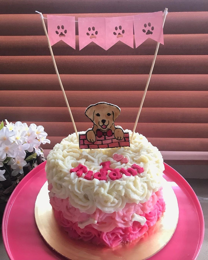 Rosette Pink Dog Cake – Puplords