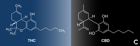 THC vs CBD chemical structure