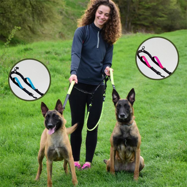 Laisse double pour chien WalkMate Duo™
