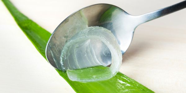 Why Aloe Vera is good for your skin