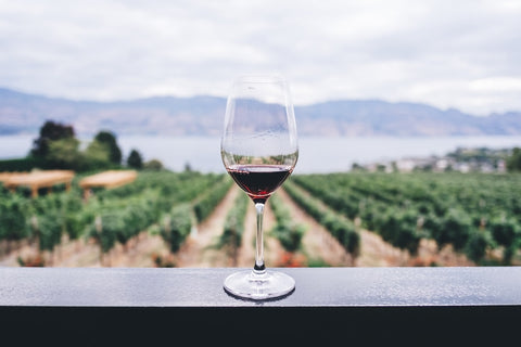 wine glass and fields