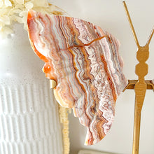 Load image into Gallery viewer, Crazy Lace Agate Butterfly with Stand
