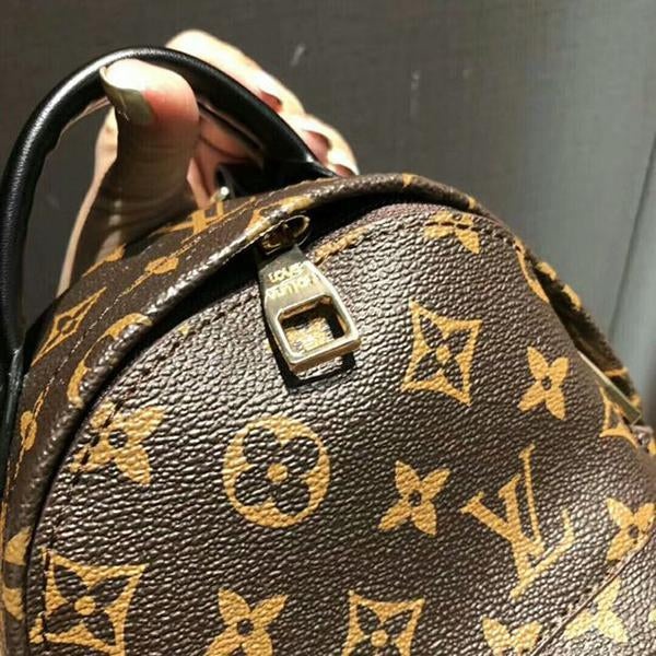 LV Louis Vuitton Womens Fashion Backpack