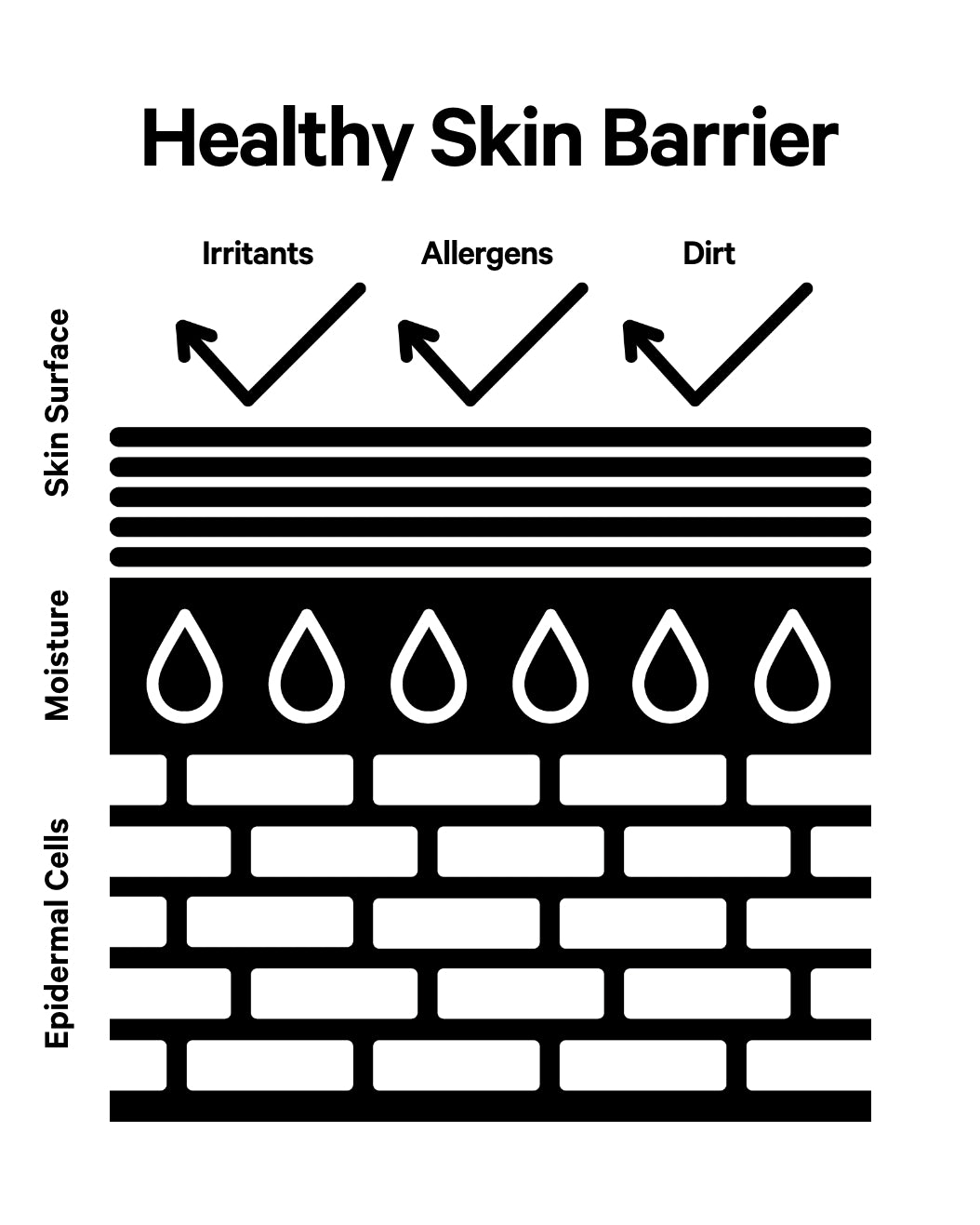 skin barrier infographic