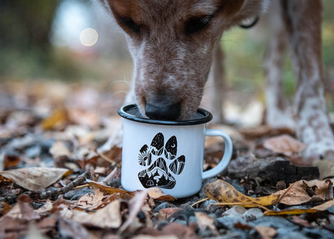 A dog inserting his nose into a white camping mug with dog paw design on it