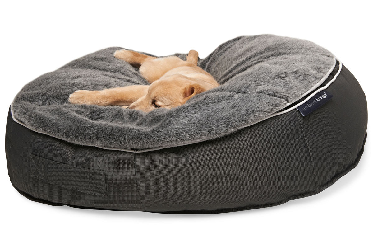 dog lounge bed