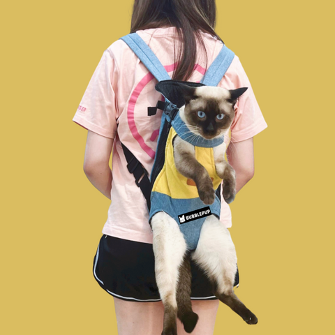 Cat Bag