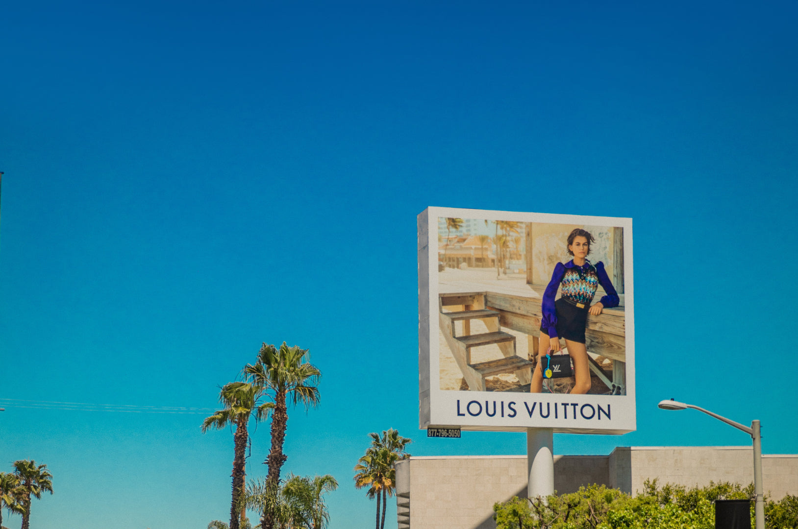 Check Louis Vuitton Order Status