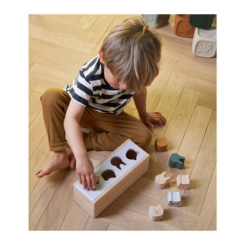 Kids Wooden Midas Puzzle