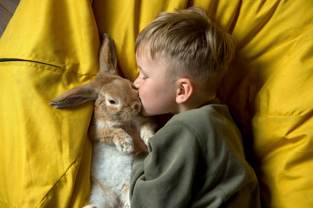 boy snuggling with bunny