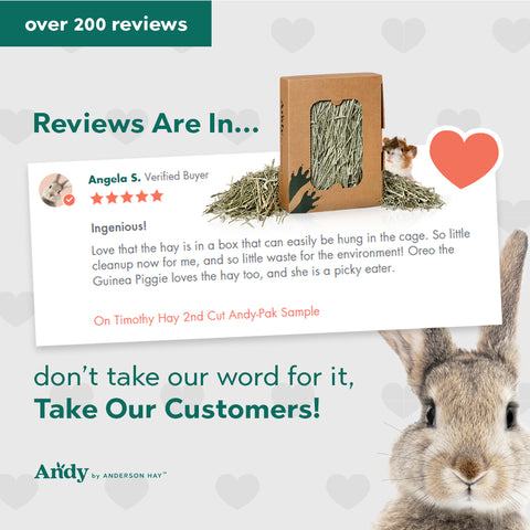 read our reviews