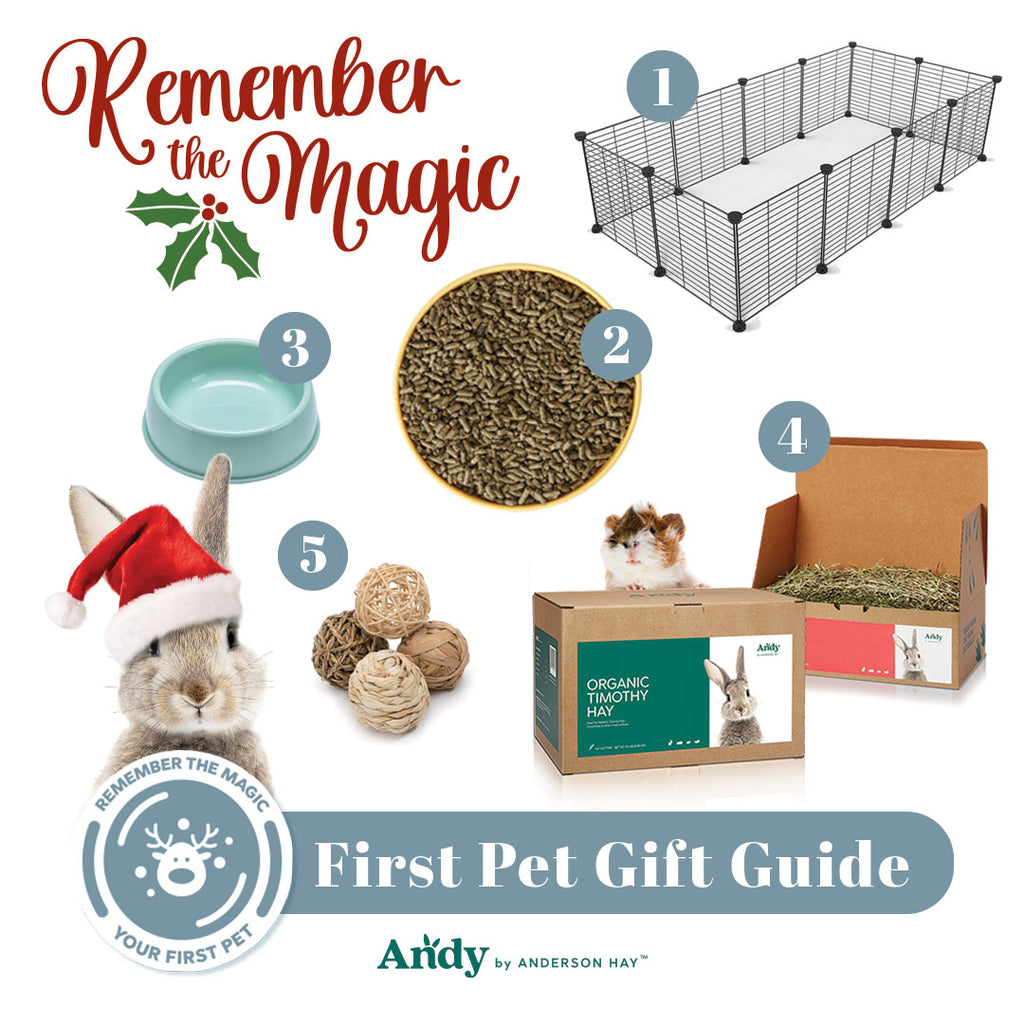 List of Small Pet Gifts for New Owners