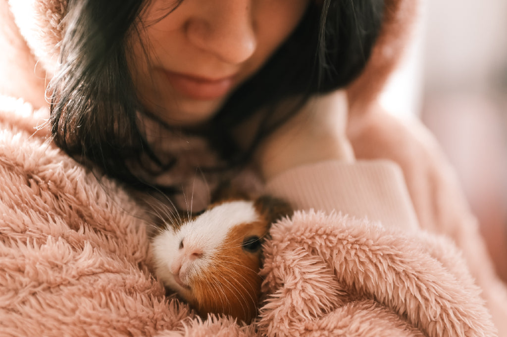 lady snuggling guinea pig