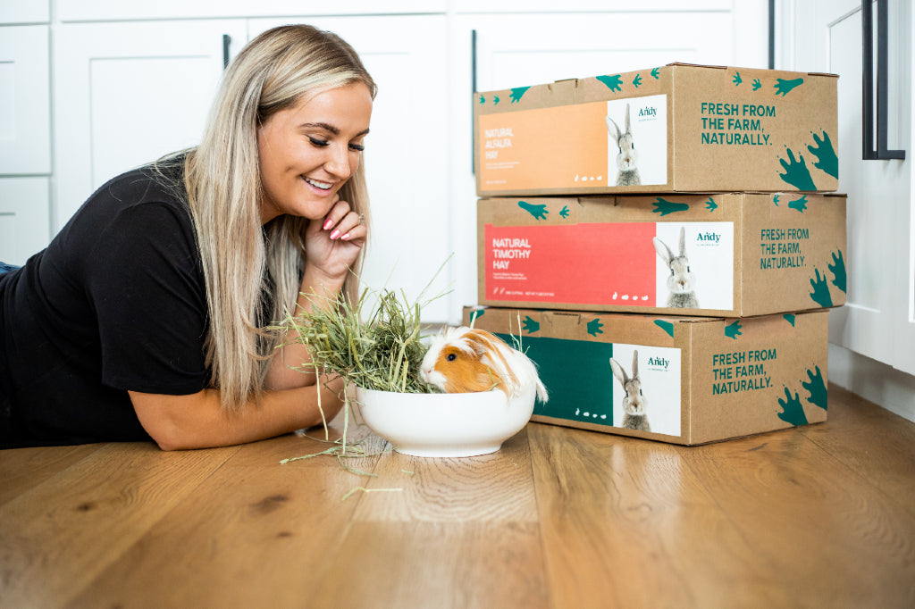 molly anderson with guinea pig eating timothy hay by andy