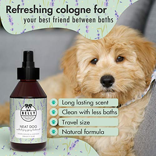 Homemade perfume for dogs