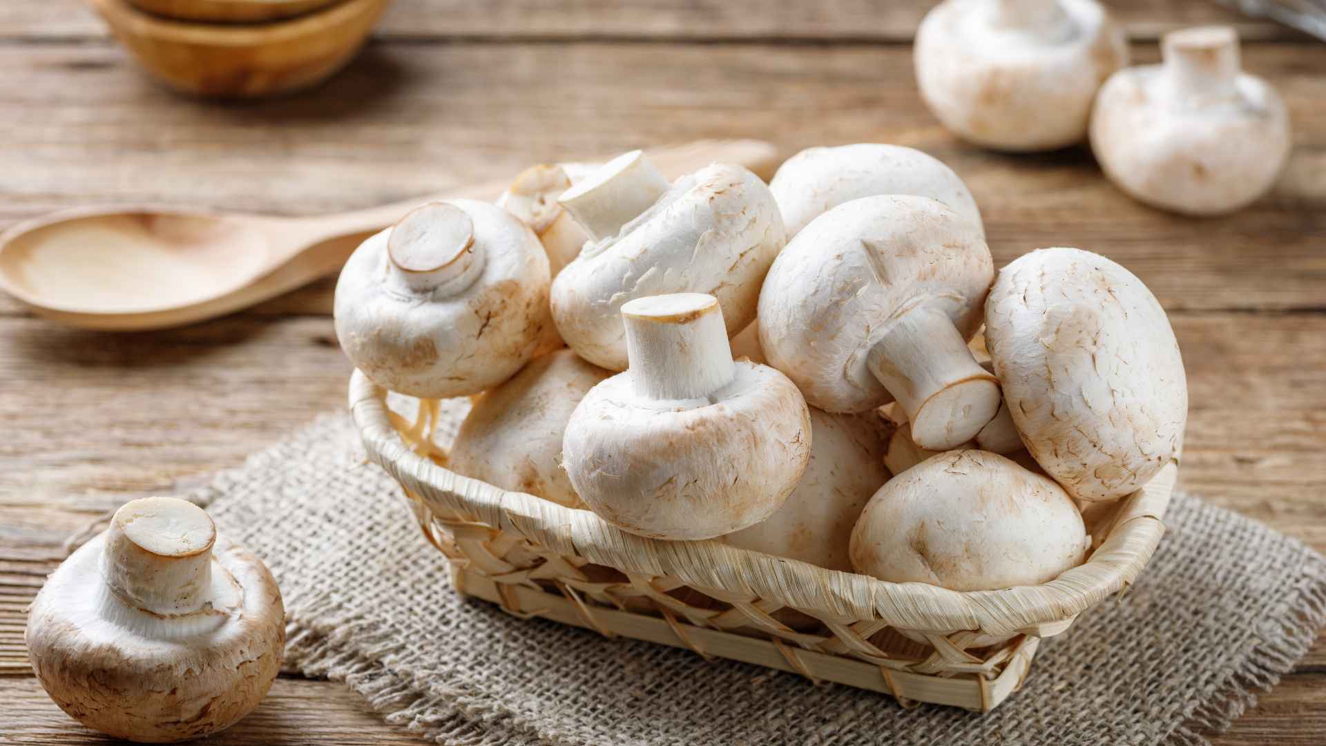 Basket full of mushrooms. 