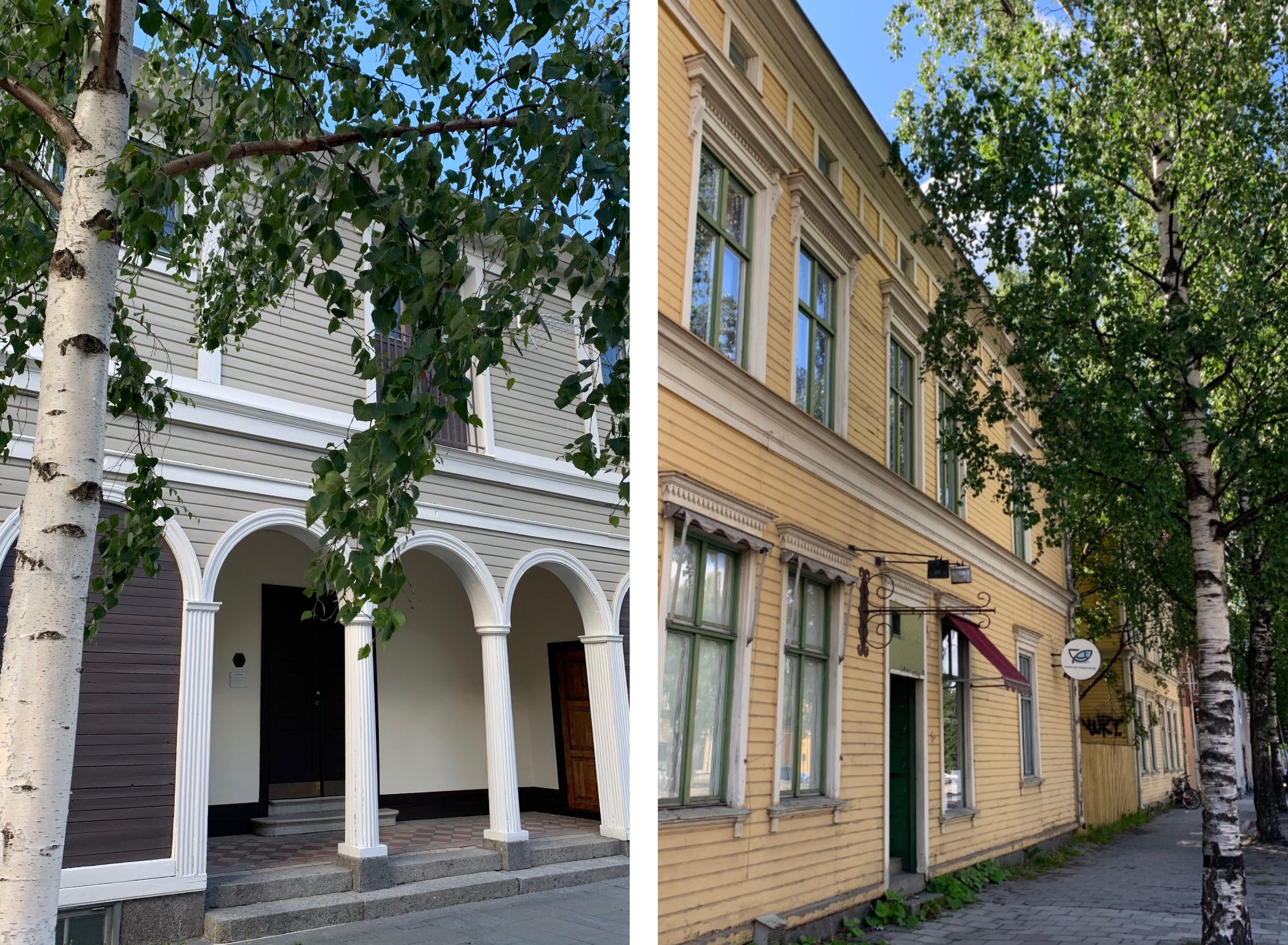 Birken in Umeå Schweden Mys-Shop