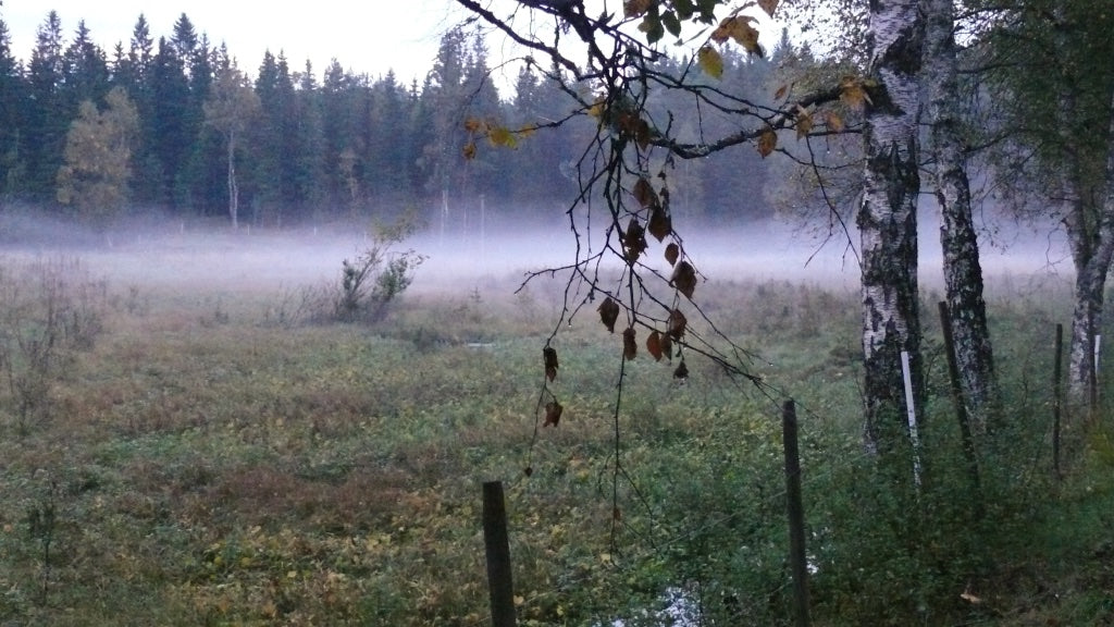 Blog Abschied Sommer Småland Nebel Mys-Shop