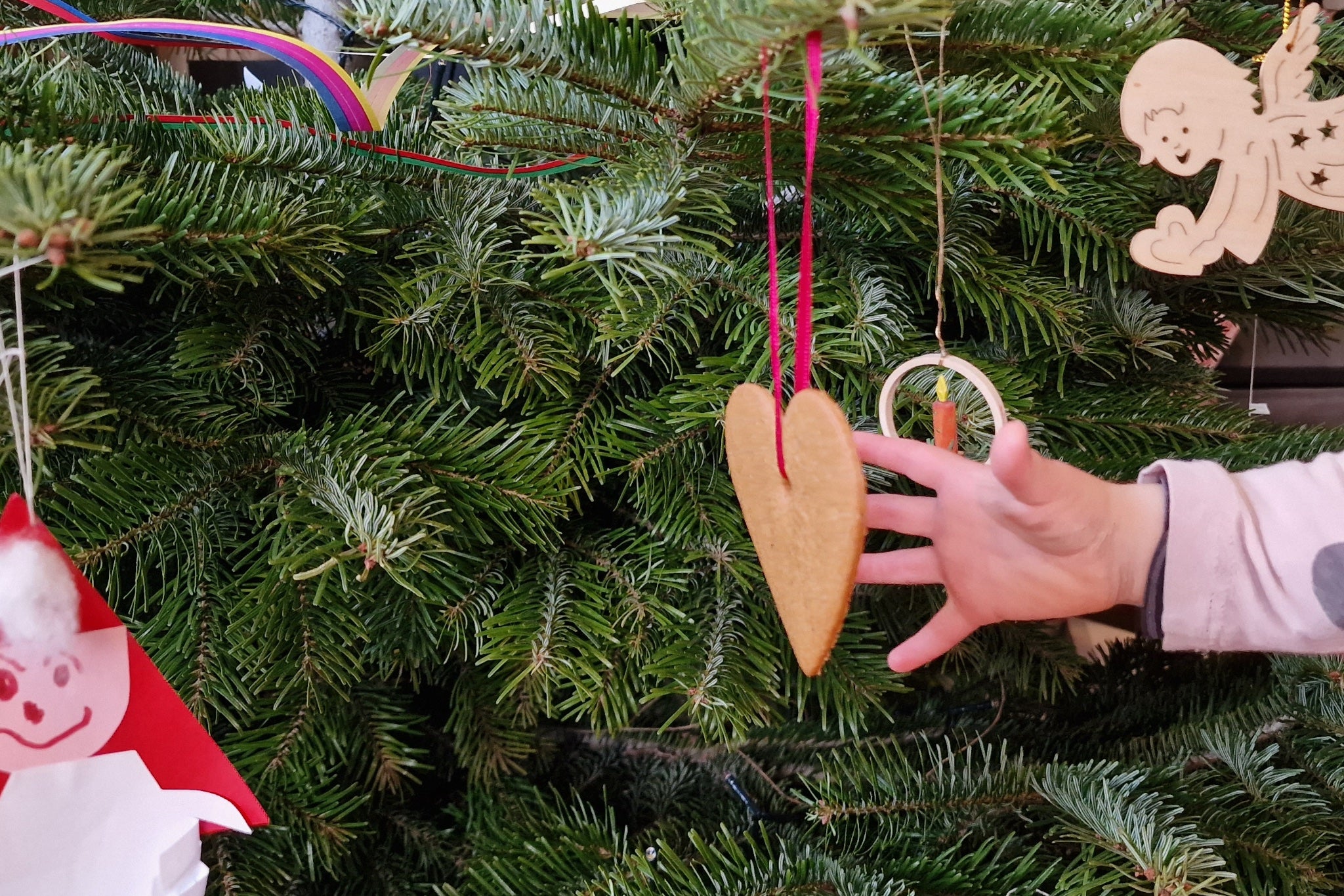 Knut Weihnachtsbaumplünderung Mys-Shop