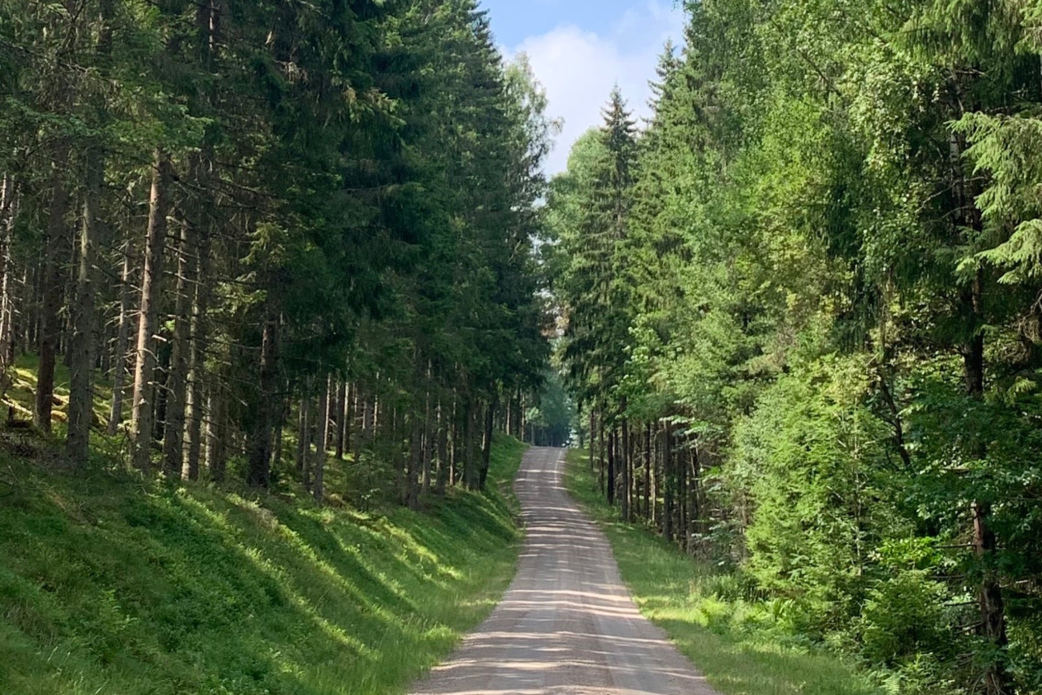 Småland Wald Våges Mys-Shop