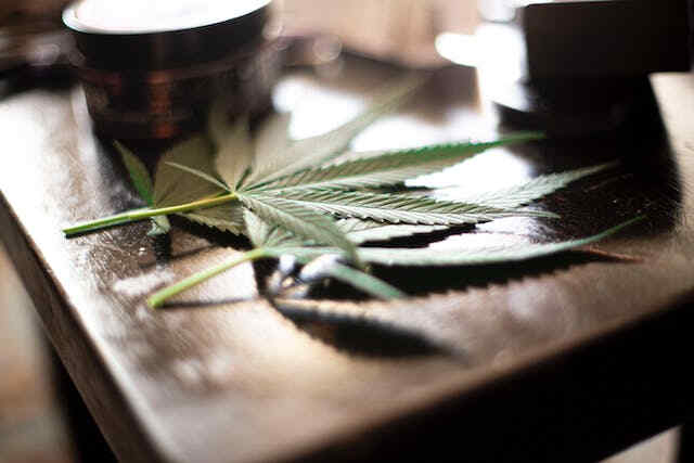 Gran variedad de growshops - Cultivo de cannabis