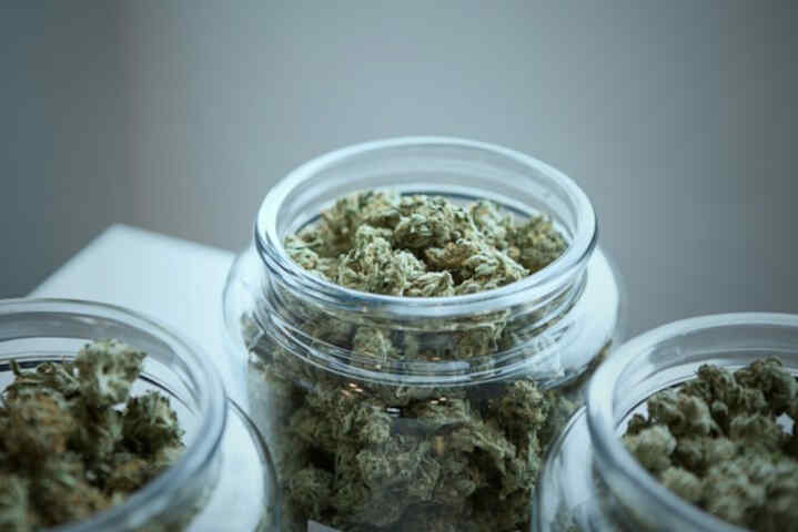 Productos y asesoramiento de calidad para el cultivo de cannabis