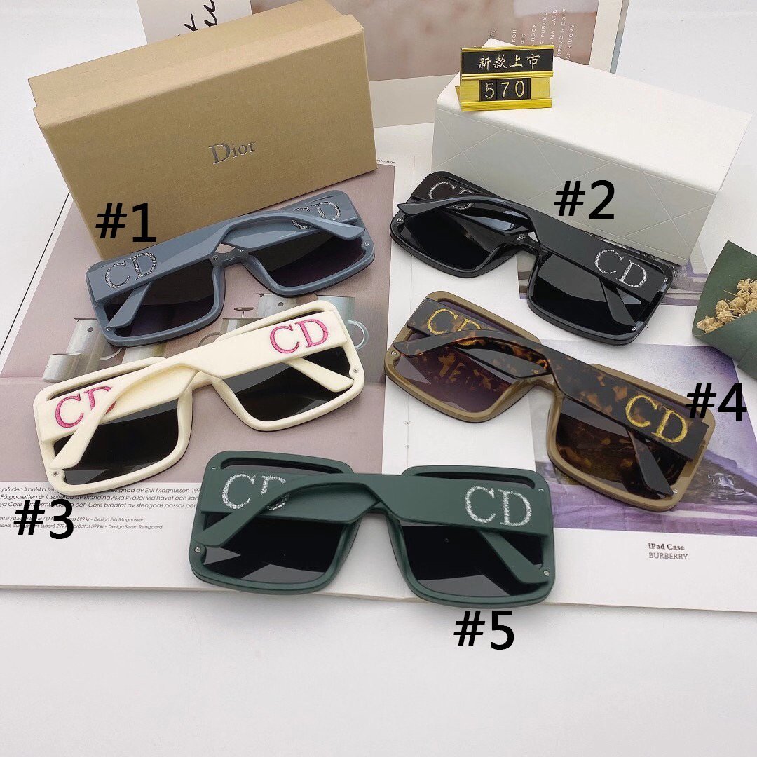 Dior Womens CD Letter Polarized Sunglasses-1