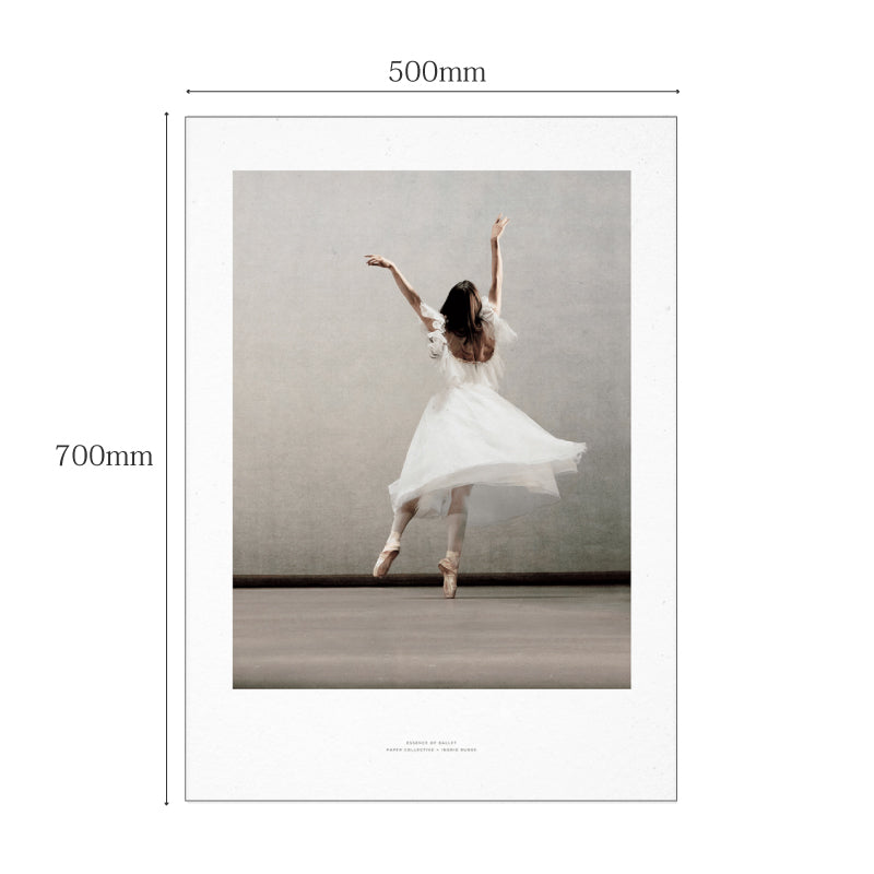 PAPER COLLECTIVE（ペーパーコレクティブ）フォトポスター Essence of Ballet 03 50×70cm