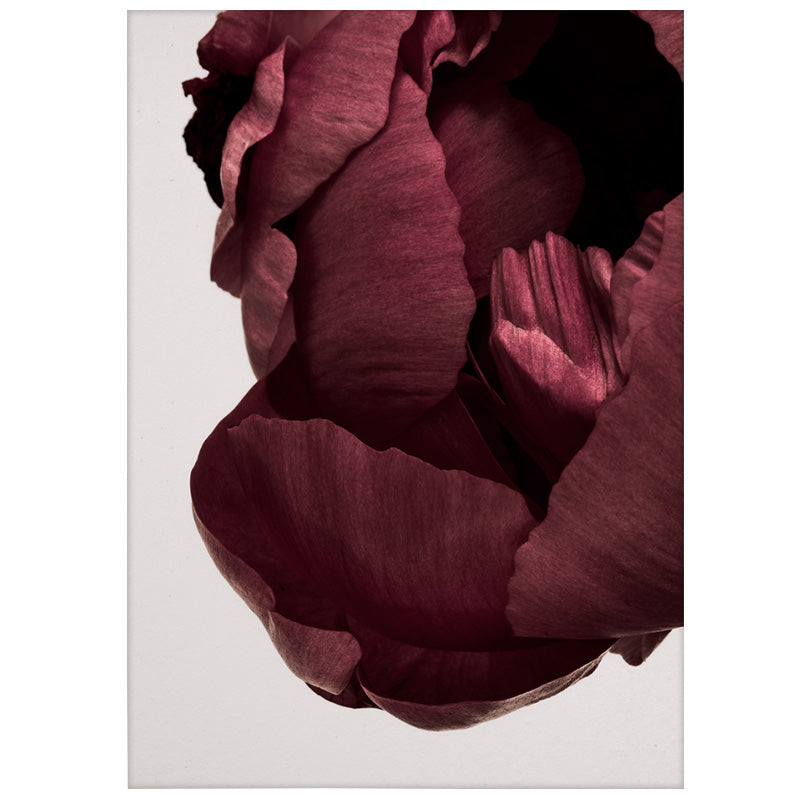 Paper Collective(ペーパーコレクティブ) ポスター Peonia 02 50×70cm 通販 | FULLangle Online  Shop 公式