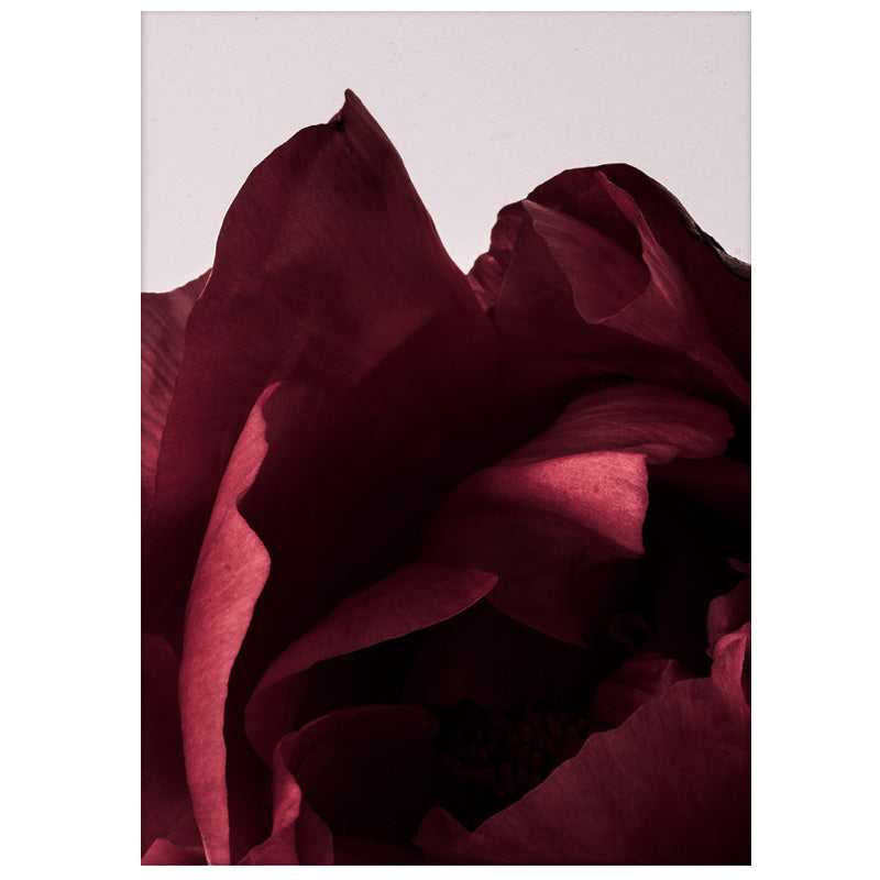 Paper Collective(ペーパーコレクティブ) ポスター Peonia 03 50×70cm 通販 | FULLangle Online  Shop 公式