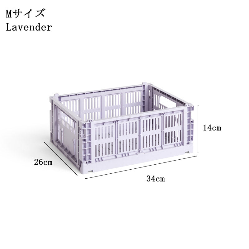 HAY COLOUR CRATE M / 2023 Lavender