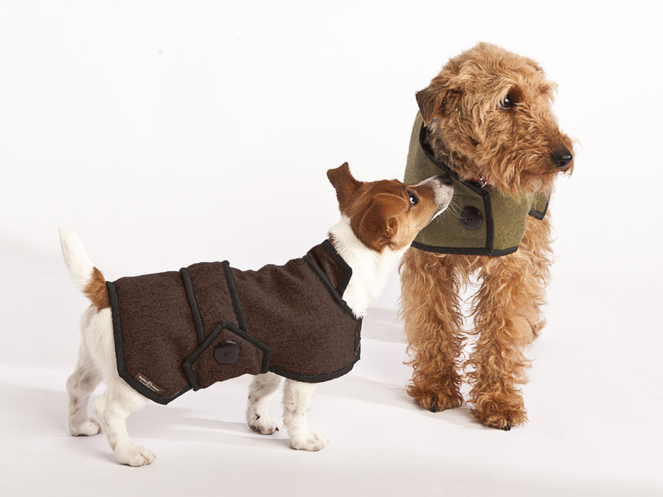 wool dog jacket