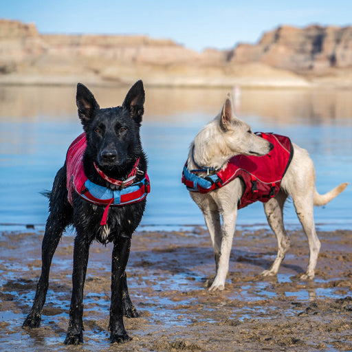 Freezack Gilet de sécurité pour chiens