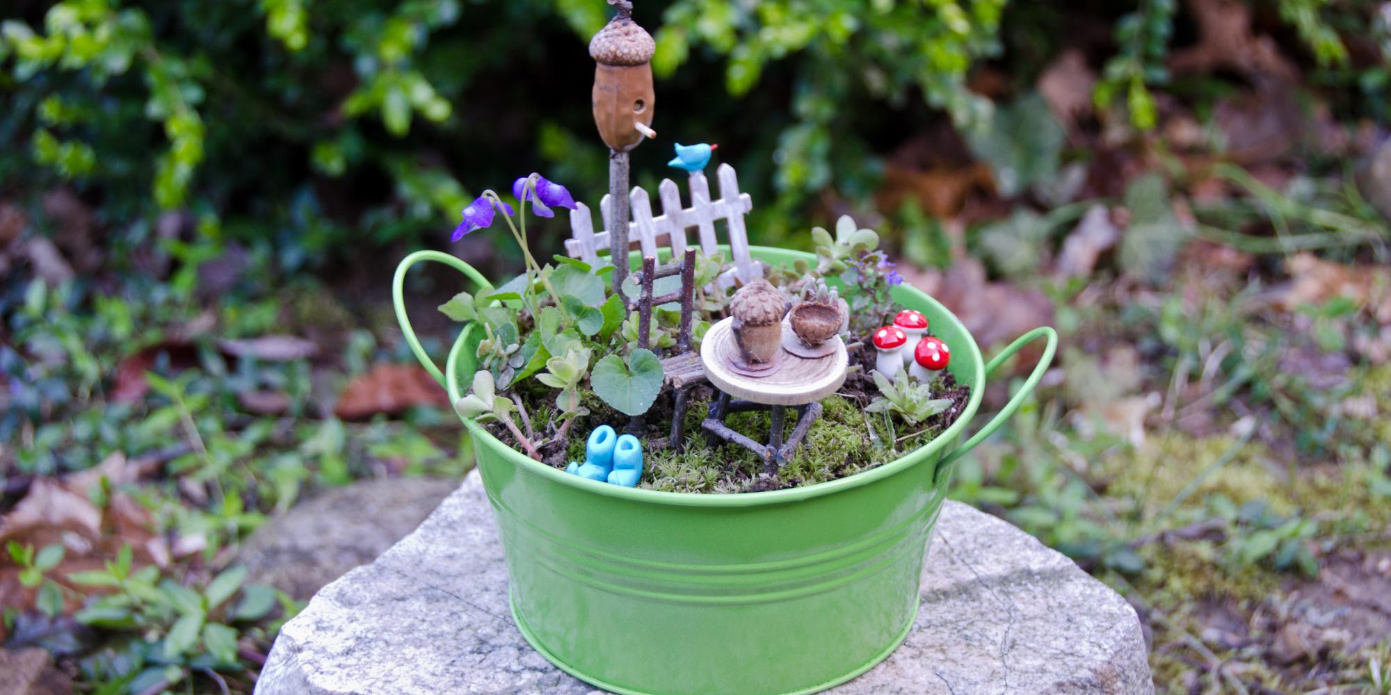 fairy garden