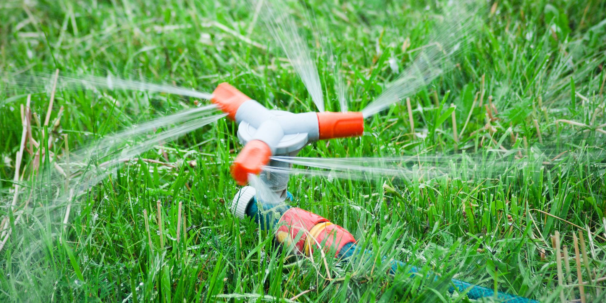 Sprinkler watering grass