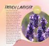 French Lavender Fragrance Chart