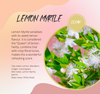 Lemon Myrtle Fragrance Chart.