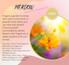 Meadow Fragrance Chart