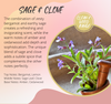 Sage & Clove Fragrance Chart