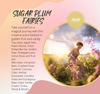 Sugar Plum Fairies Fragrance Selection Chart