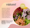 Vibrant Fragrance Chart