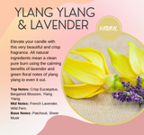 Ylang Ylang & Lavender