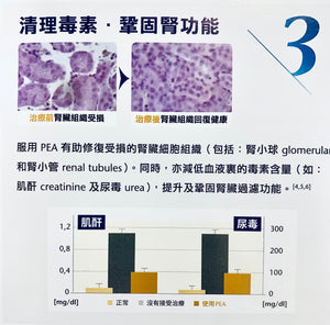 INNOVET® Nefrys 強腎配方