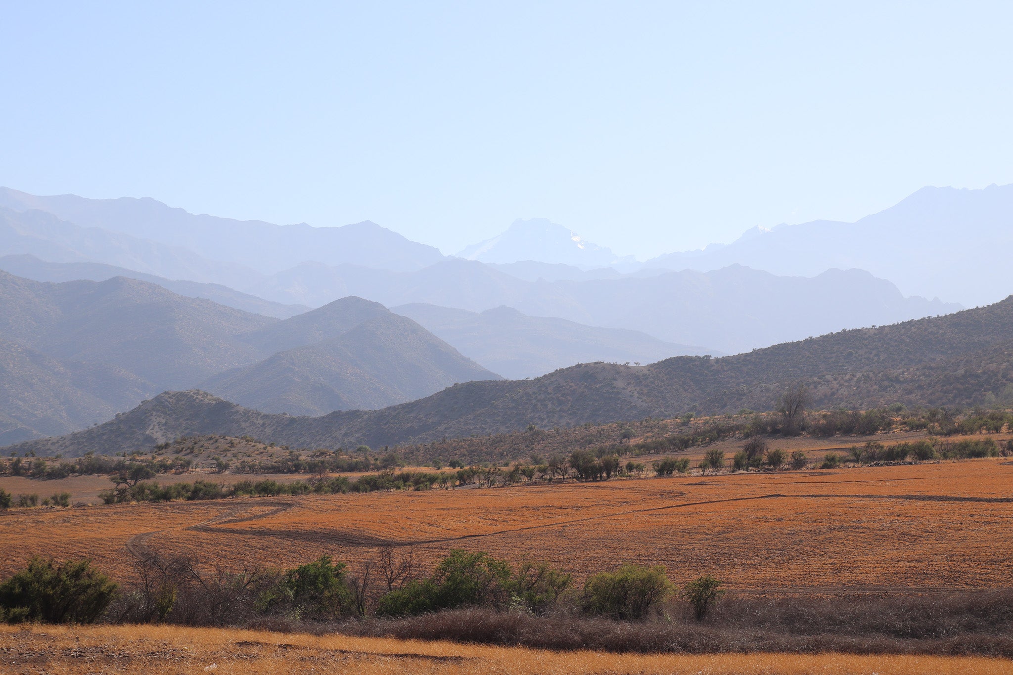 Chile countryside