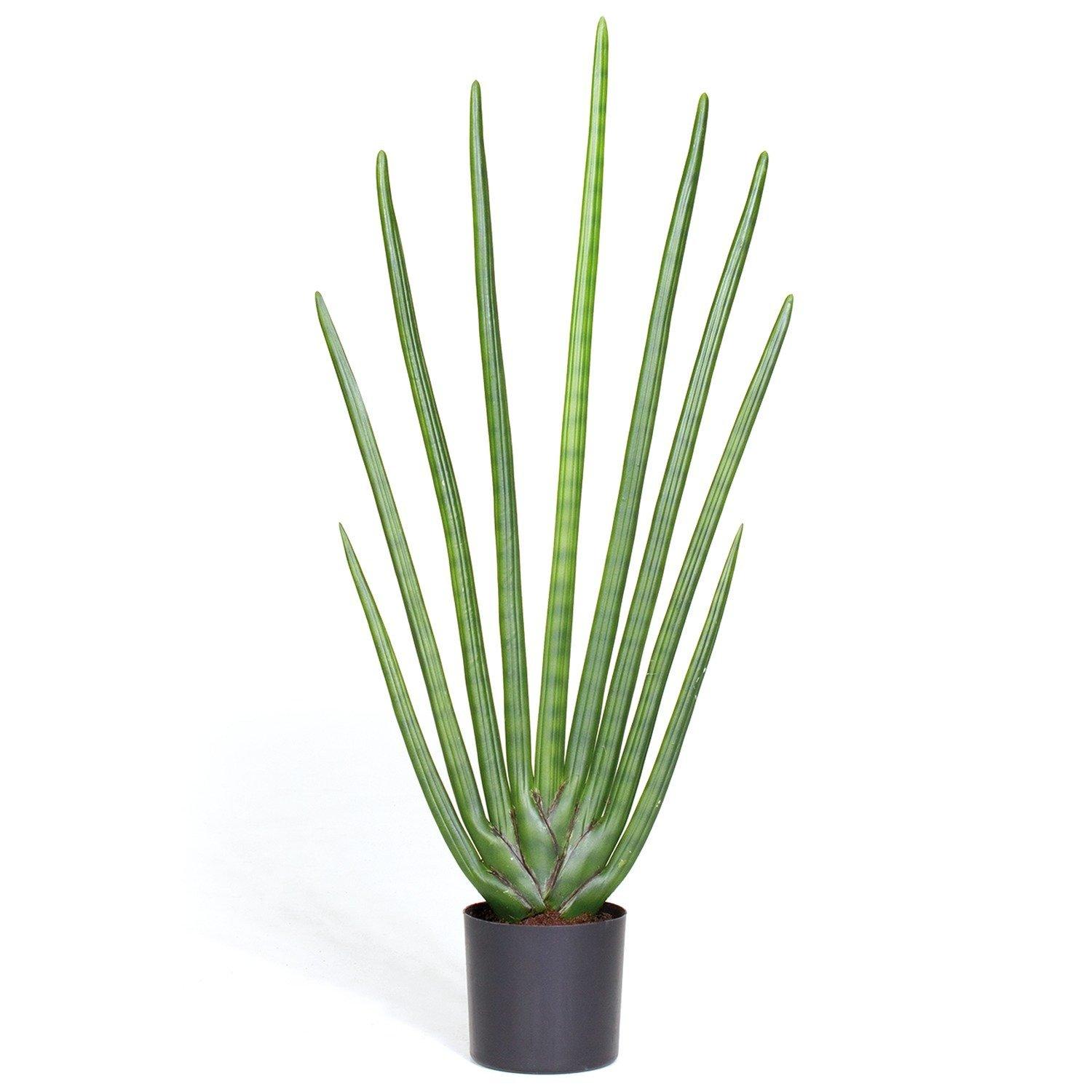 SANSEVIERIA CYLINDRICA pianta artificiale, 80 cm – Kingplanters