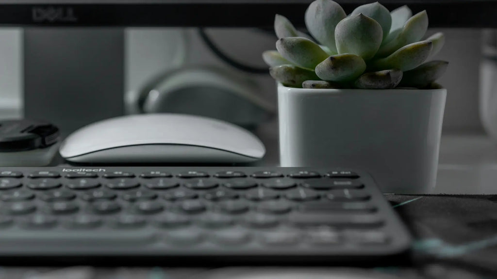 apple magic mouse in white behind a keyboard