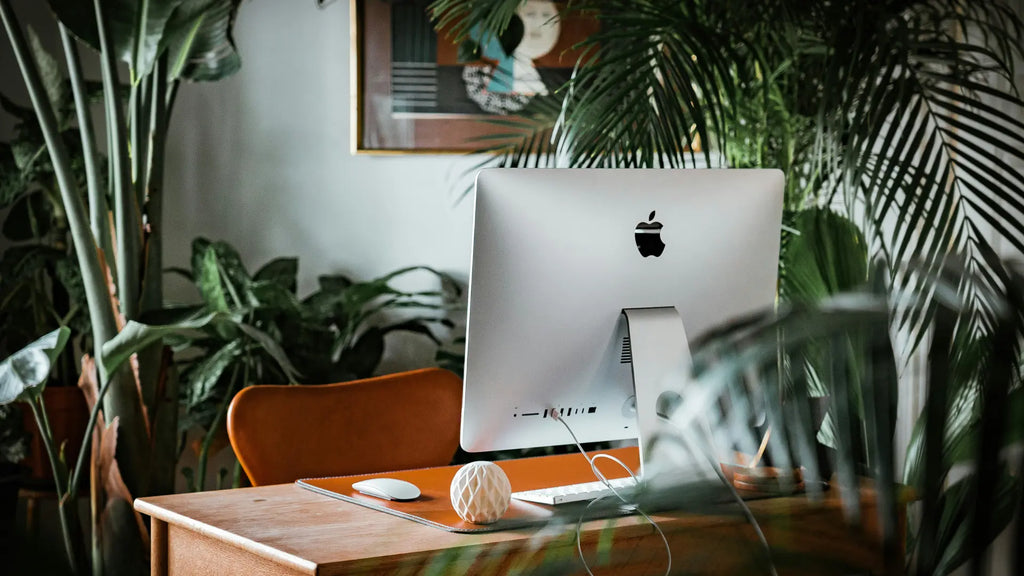 imac with magic mouse in a room with plants