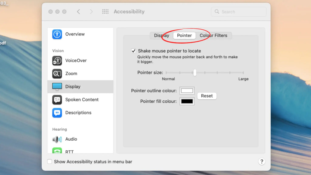 mac pointer settings