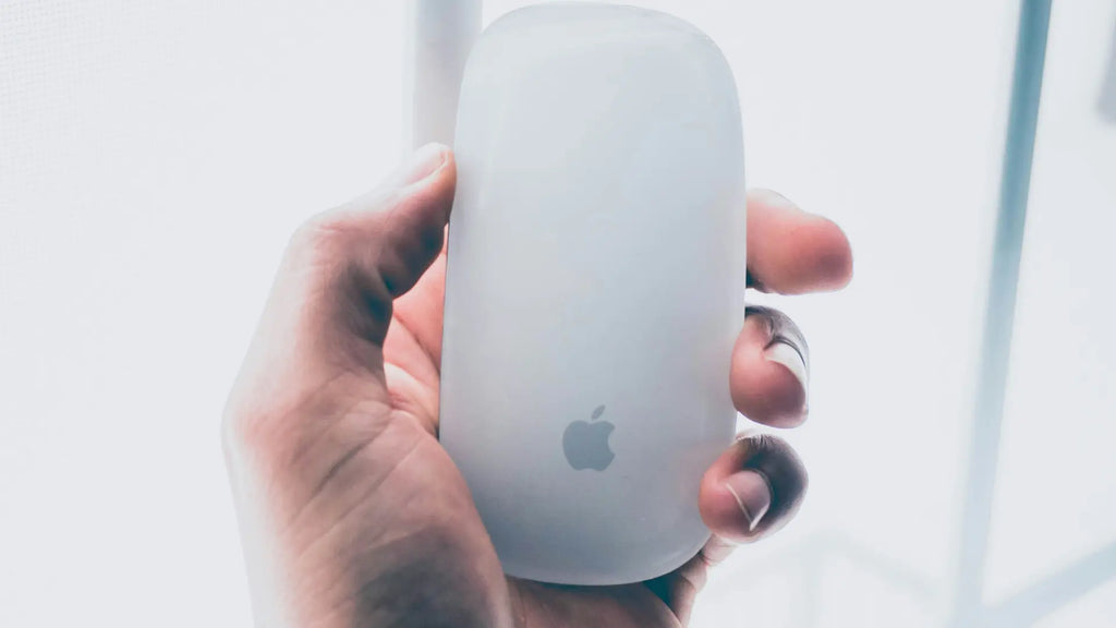 person holding the magic mouse